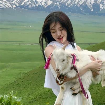 再战龙武士 海报